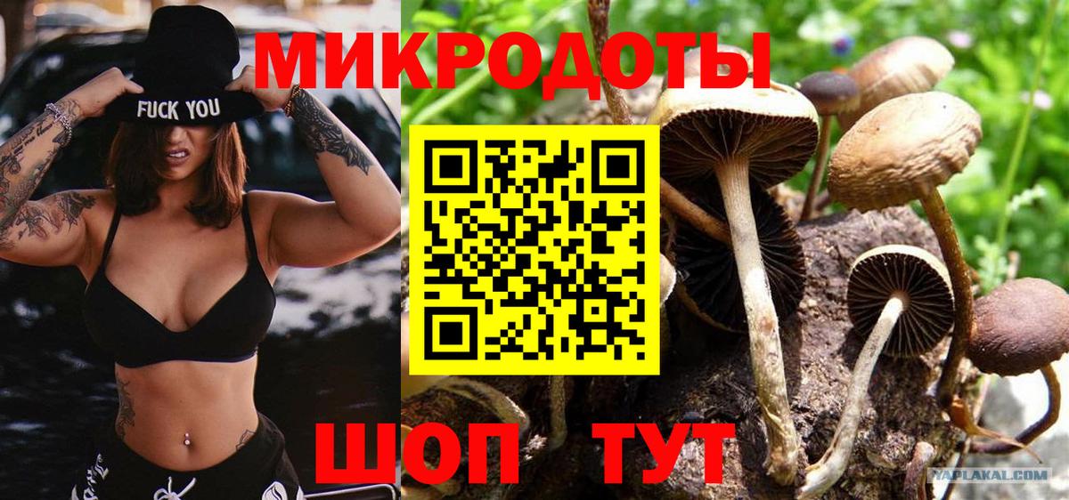 Галлюциногенные грибы Magic Shrooms Тула